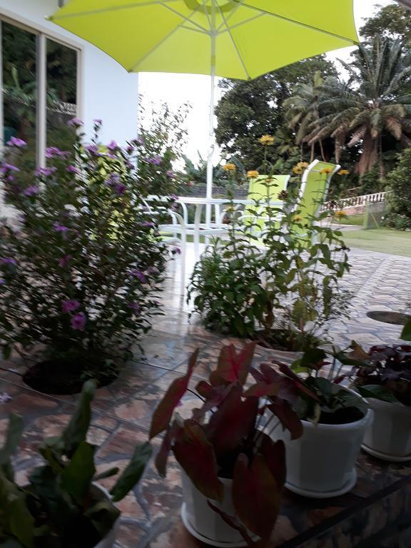 Loversnest Self Catering Anse aux Pins Exteriör bild